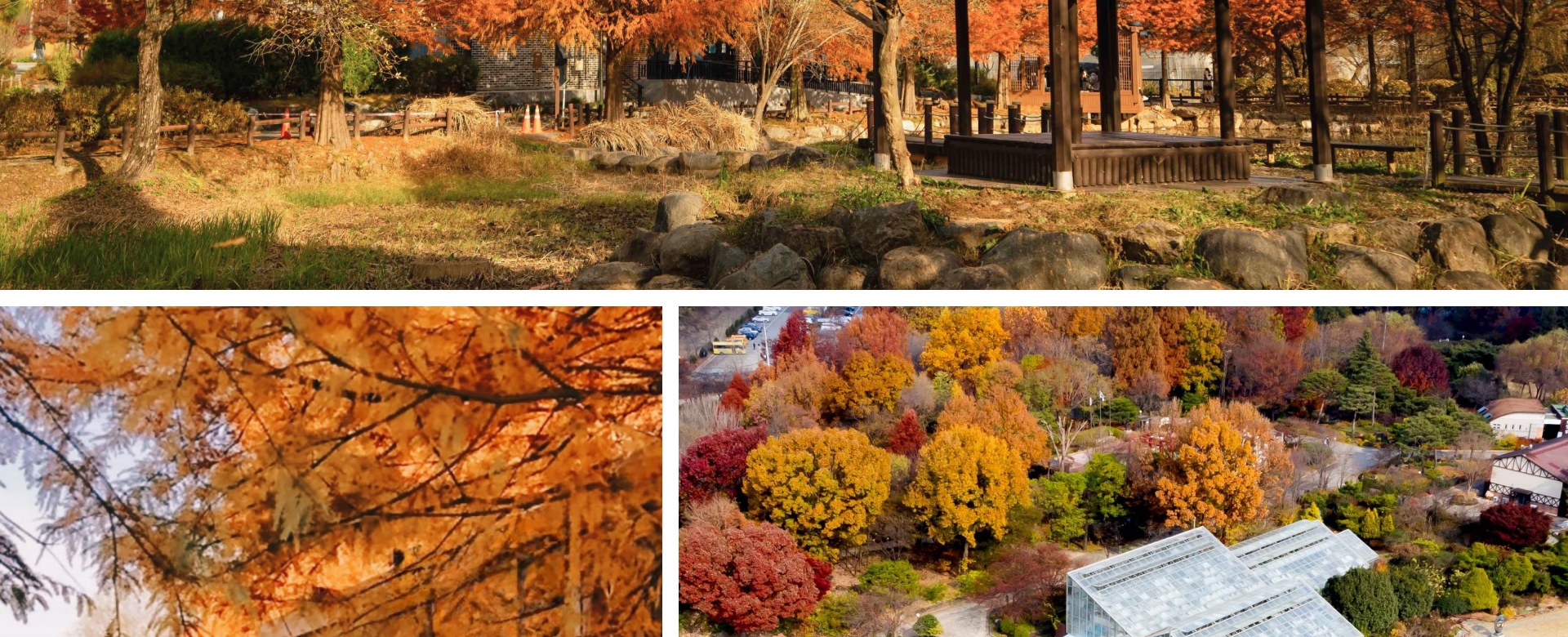 秋天將公園變成一片暖紅色和金色的畫布，是攝影愛好者的理想之地。