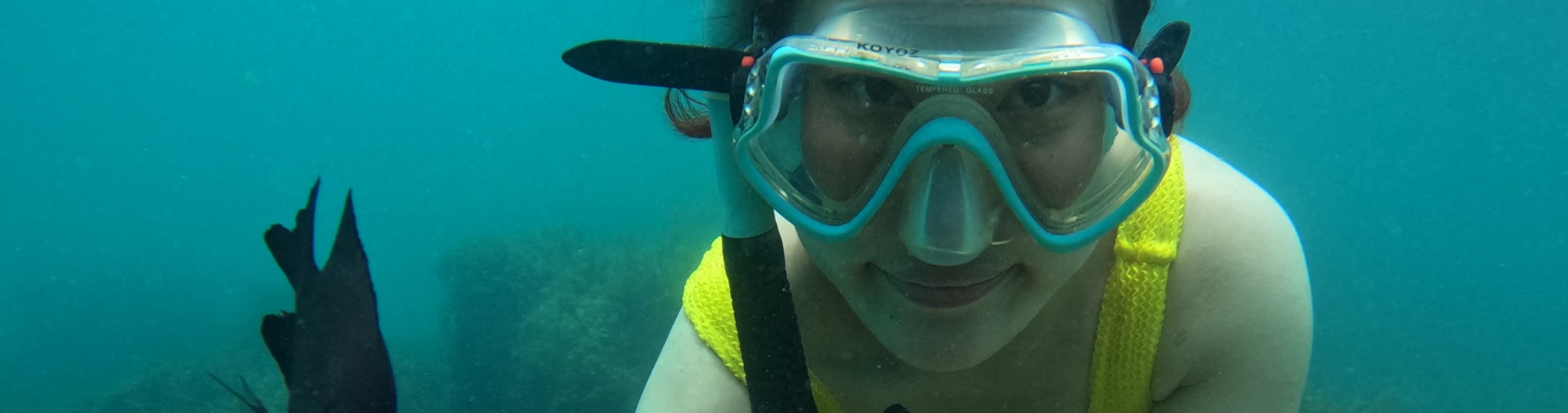 參加難忘的浮潛之旅,探索民丹島清澈碧綠海水下的美麗世界 參加難忘的浮潛之旅,探索民丹島清澈碧綠海水下的美麗世界