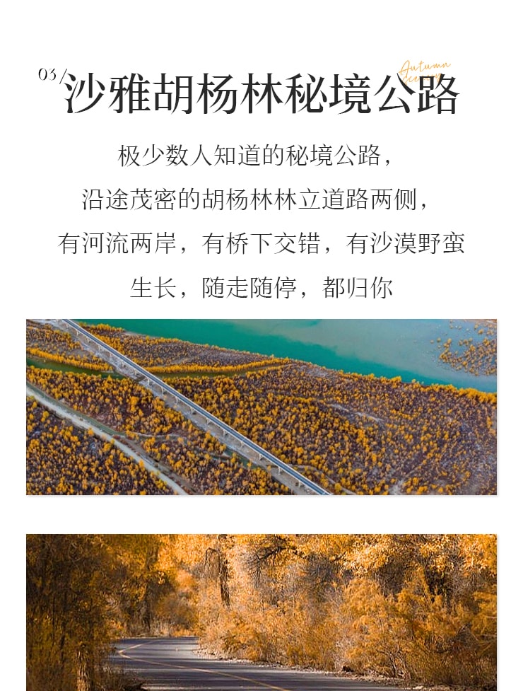 新疆橙意南疆8日遊（坦克300越野車+旅拍攝影+塔里木胡楊林+水胡楊葫蘆島+沙雅胡楊林秘境公路+帕米爾+喀什集合庫爾勒解散）
