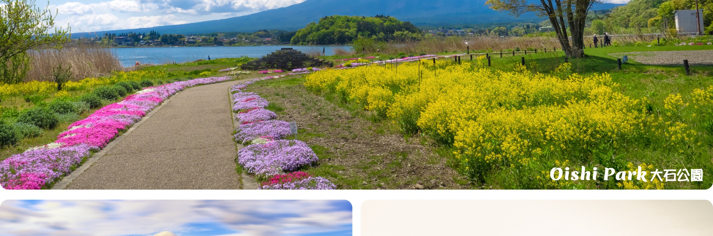 富士山 & 箱根: 富士山五合目/河口湖/大石公園/忍野八海/大涌谷/大淵笹場/雕刻之森美術館/箱根纜車/海賊船 (中/英/韓語導遊)