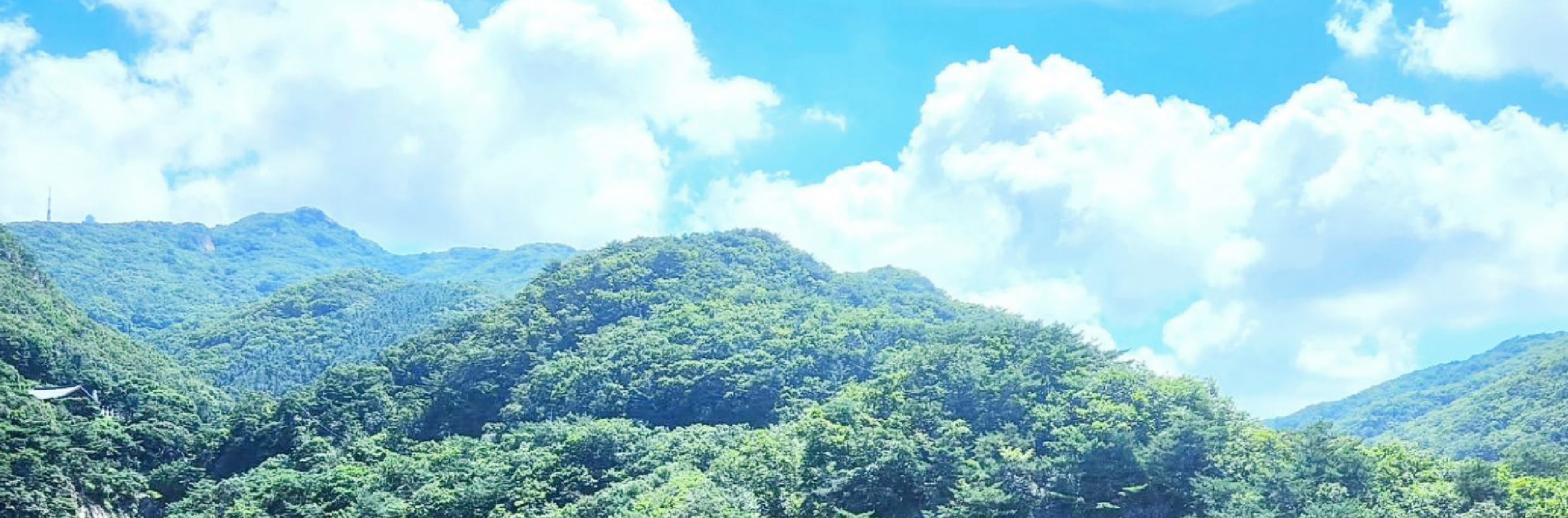 首爾市 & 季節性熱門景點一日遊