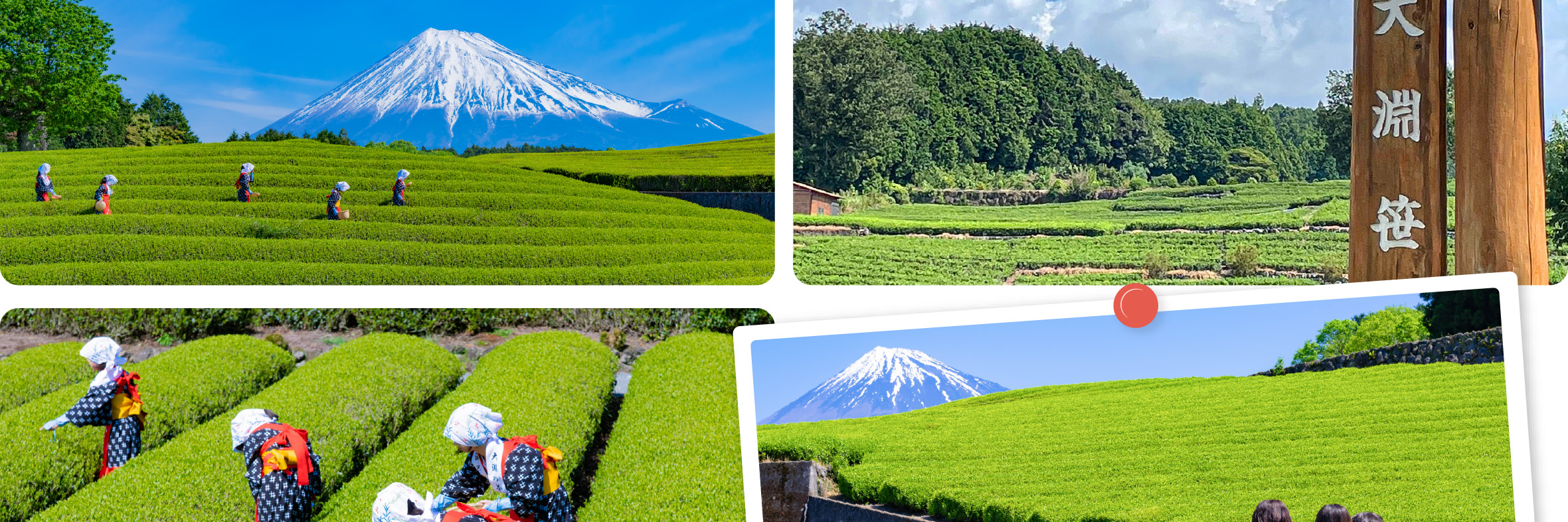 富士山 & 箱根: 富士山五合目/河口湖/大石公園/忍野八海/大涌谷/大淵笹場/雕刻之森美術館/箱根纜車/海賊船 (中/英/韓語導遊)