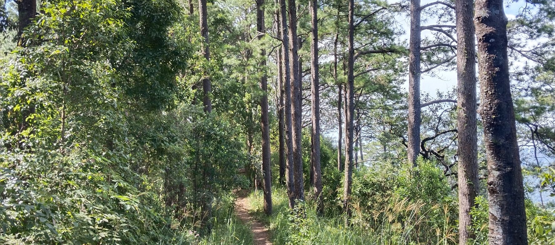 素帖山普伊國家公園探險健行