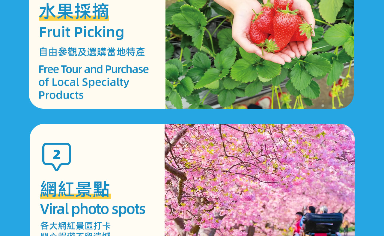 活動亮點，欣賞早春的櫻花美景