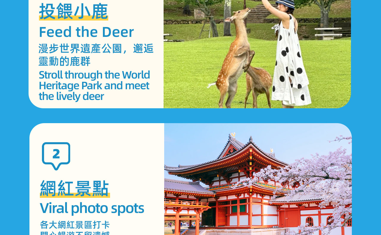 活動亮點。一天遊覽奈良和宇治兩地網紅景點。 活動亮點。一天遊覽奈良和宇治兩地網紅景點。