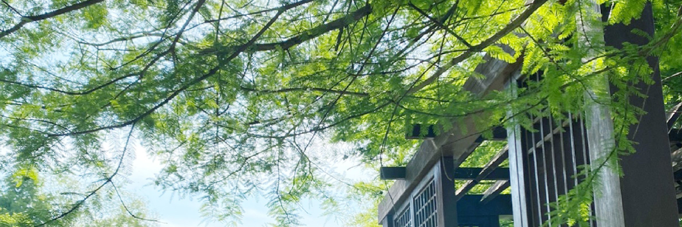 全州韓屋村＆季節性熱門景點一日遊