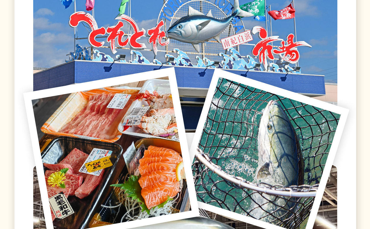 在西日本最大的海鮮市場觀賞金槍魚解體秀，品嚐新鮮海產（餐食自費）