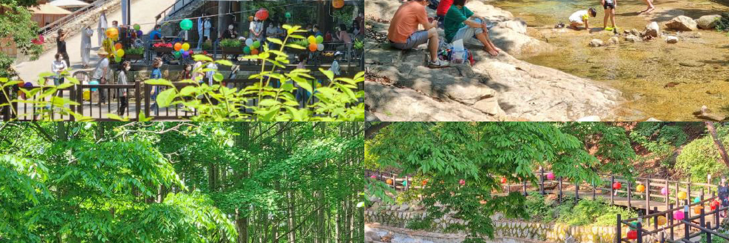 首爾市 & 季節性熱門景點一日遊