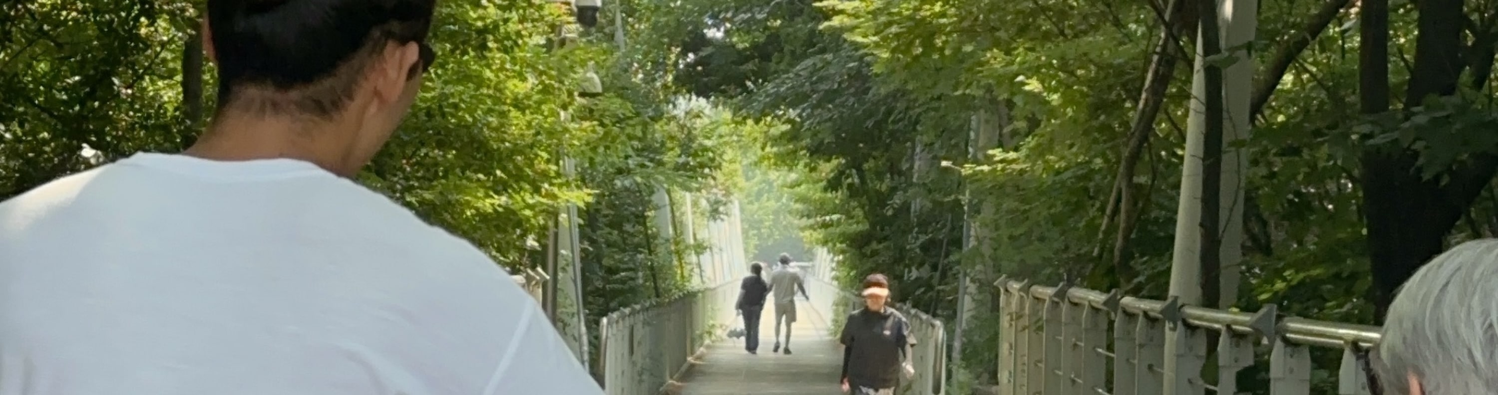 首爾漢江騎行之旅