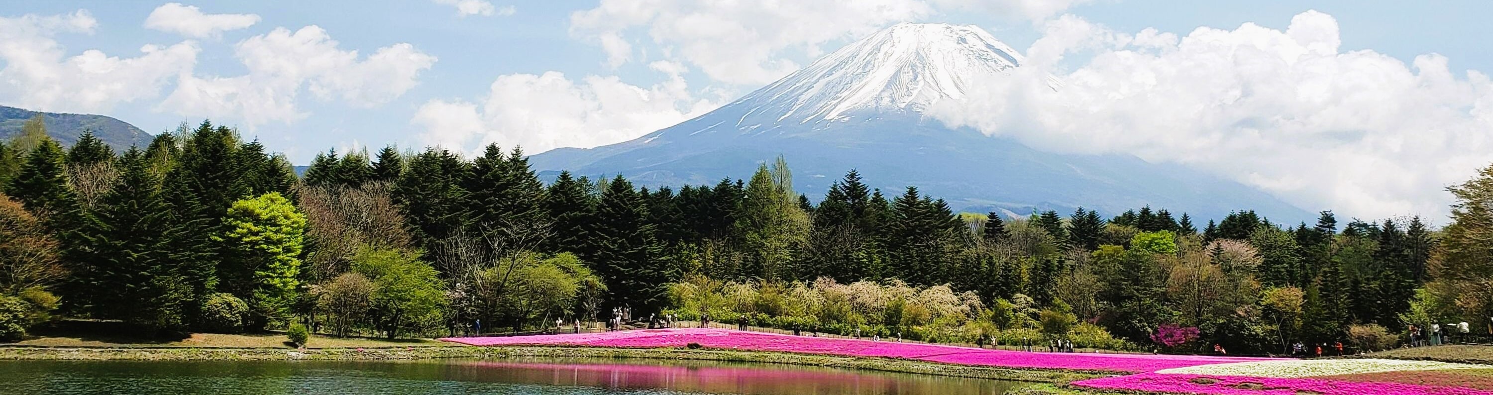 富士山私人定製一日遊（東京出發）