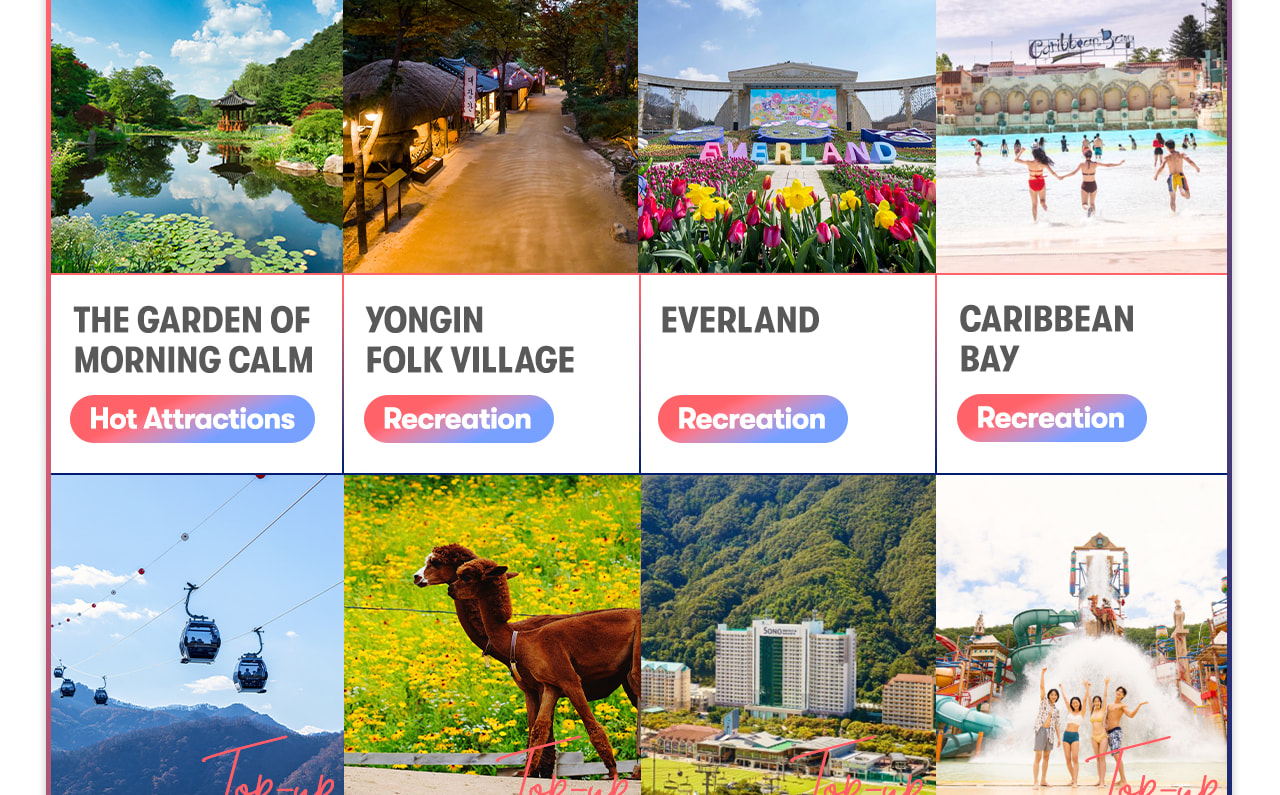 Seoul Car Rental with Driver to Seoul City/Everland/Nami Island/Alpaca World/Gangchon Rail Park
