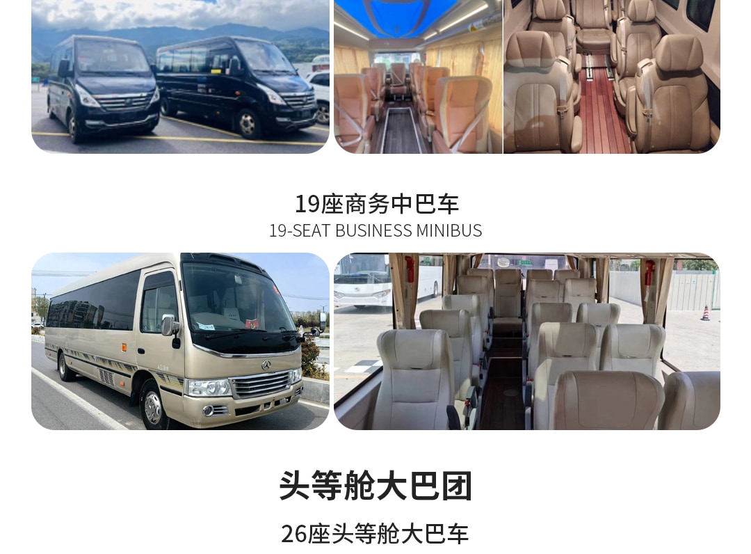 多種車型可供選擇