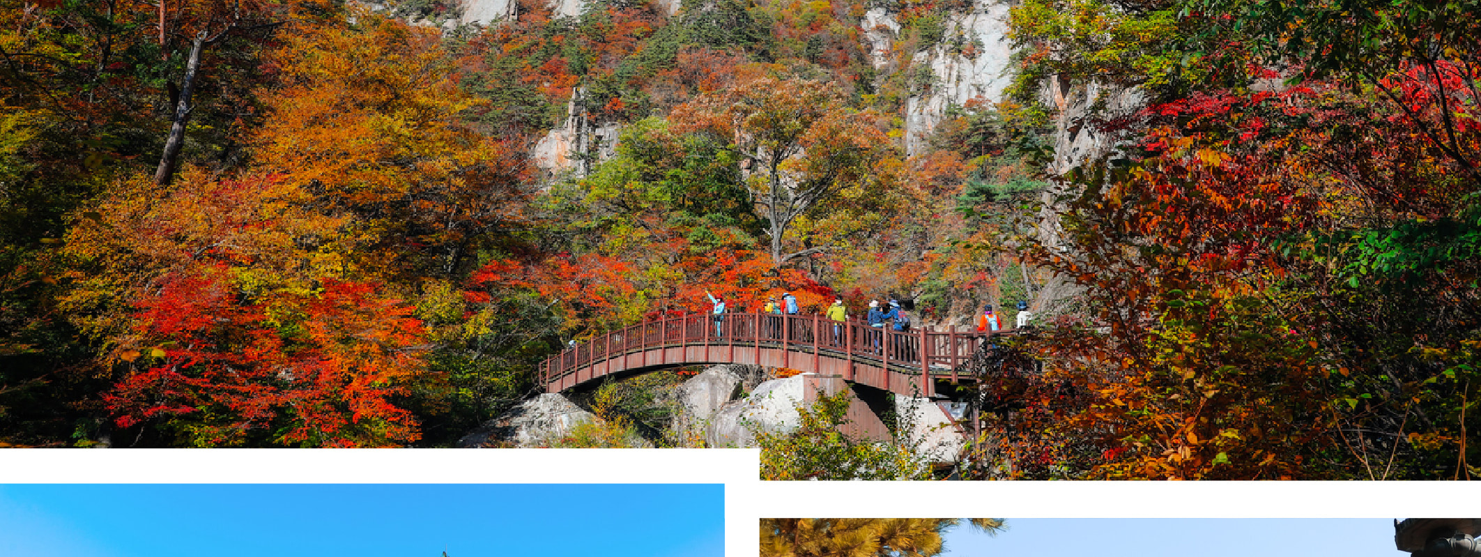 南怡島＆雪嶽山一日遊（首爾出發）