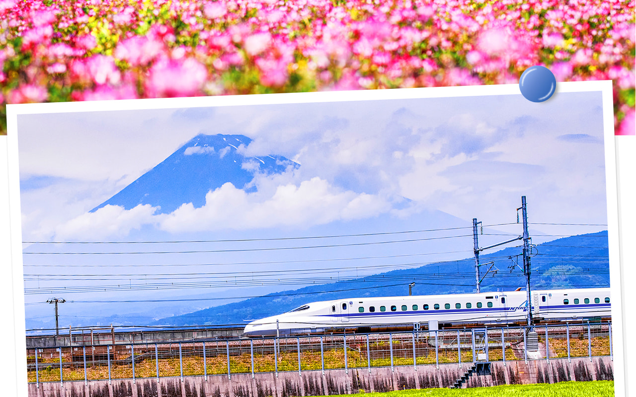 從小田原站搭乘新幹線返回東京,高速便捷,沿途可欣賞關東風光,完美收官富士箱根之旅。 從小田原站搭乘新幹線返回東京,高速便捷,沿途可欣賞關東風光,完美收官富士箱根之旅。