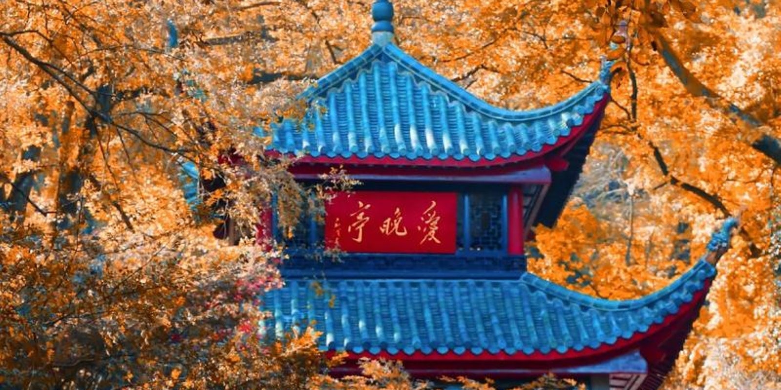 嶽麓山/愛晚亭，愛晚亭的美四季各異，春天，萬物復甦，嫩芽新出，充滿生機與活力；夏天，綠樹成蔭，成了避暑勝地；秋天，愛晚亭可要C位出道了！楓葉紅似火，就像穿上華麗禮服，美得讓人心動；冬天，雪花飄落，愛晚亭披上了一層銀紗，靜謐而神秘~