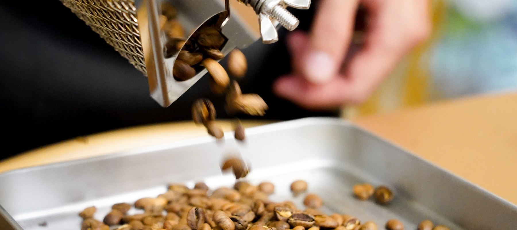 Specialty Coffee Roasting and Hand-Pour Experience Class
