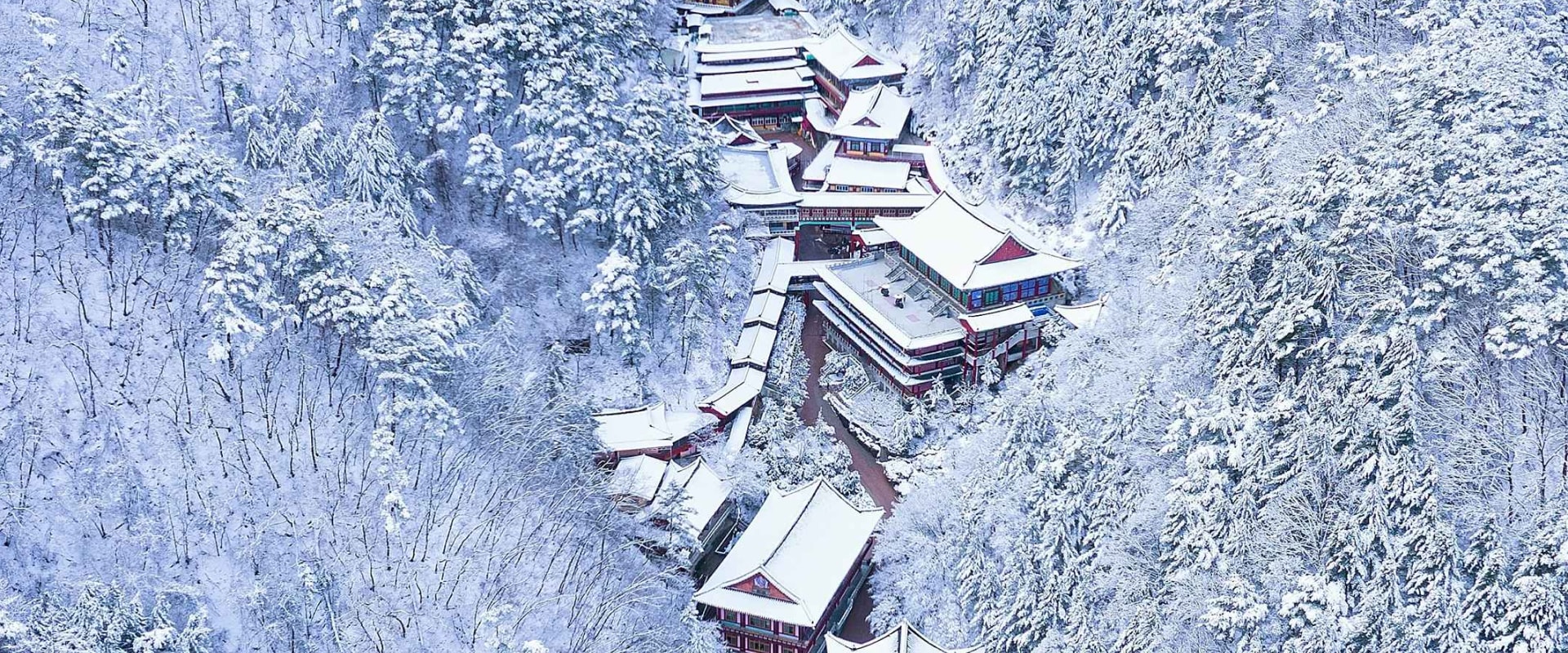 冬季的「救仁寺」在白雪皚皚的小徑與森林中,高聳的寺廟建築更顯莊嚴,營造出寧靜而宏偉的氛圍。 冬季的「救仁寺」在白雪皚皚的小徑與森林中,高聳的寺廟建築更顯莊嚴,營造出寧靜而宏偉的氛圍。