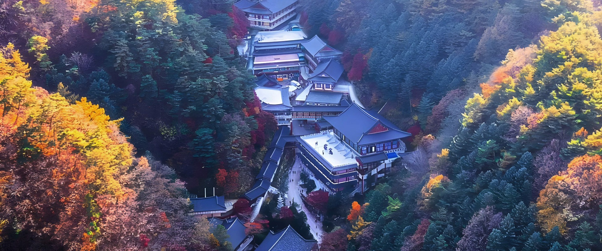 秋天的救仁寺美得令人屏息！金黃色的樹葉覆蓋山巒，色彩繽紛的寺廟在秋日天空的映襯下更顯光彩奪目。🏯🍁