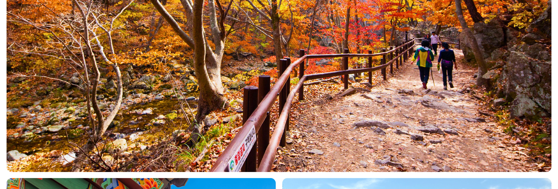 沉浸在周王山國家公園 (Juwangsan National Park) 令人驚豔的秋色中，這裡以火紅的楓葉和風景優美的登山步道而聞名。