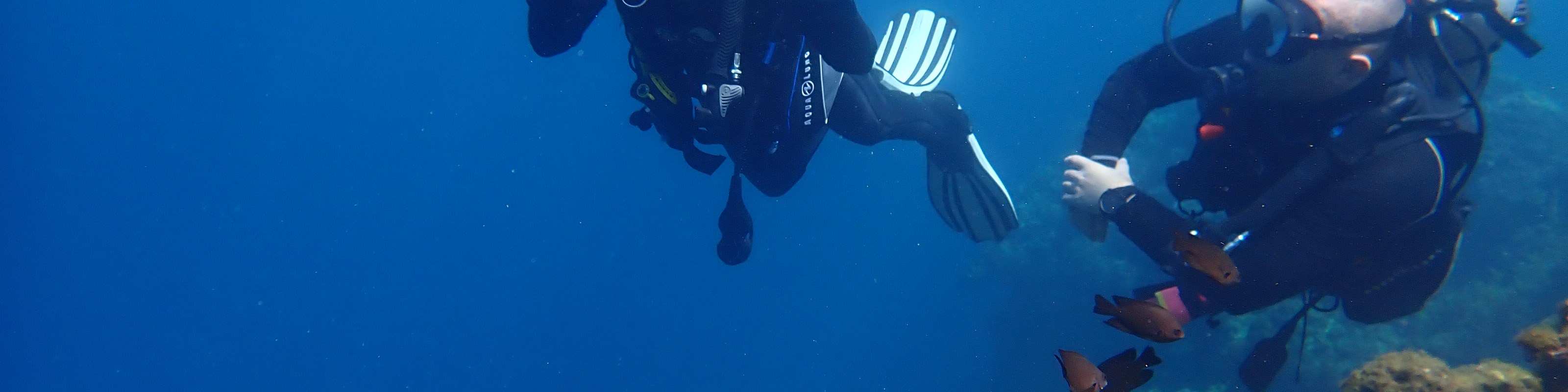邦勞島PADI潛水體驗（五星級潛水中心）