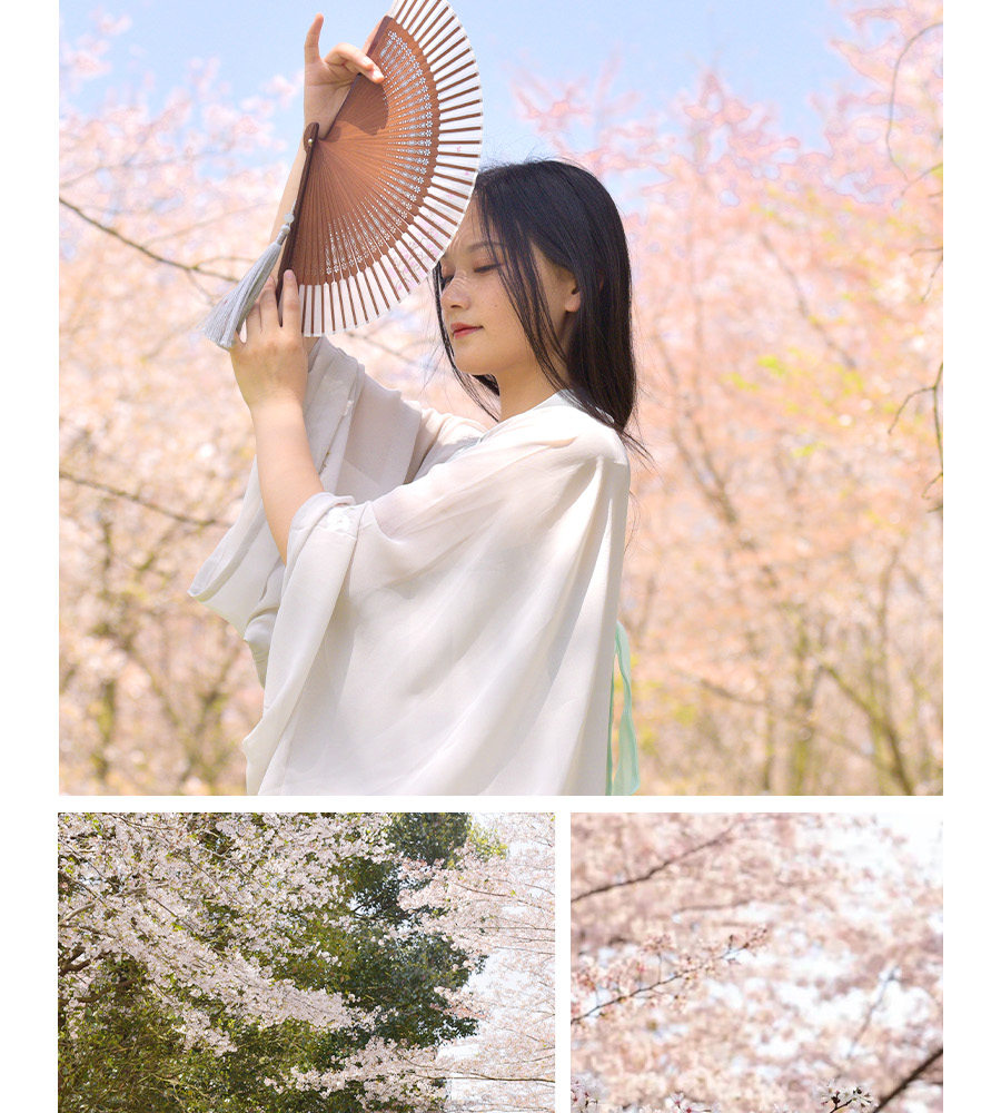 【櫻花限定】貴州平壩櫻花6天5晚（黃果樹大瀑布+平壩櫻花園&攝影跟拍+荔波小七孔+西江千戶苗寨&苗族蠟染手作）
