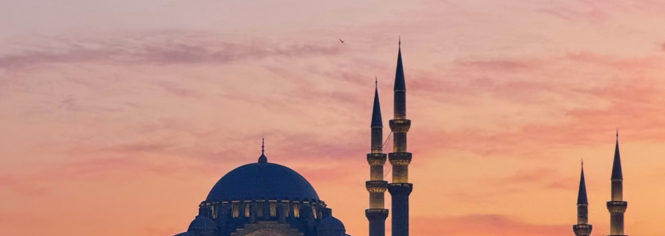 Spectacular Istanbul Sunset Cruise: 3 Hours with Asian Side Explore