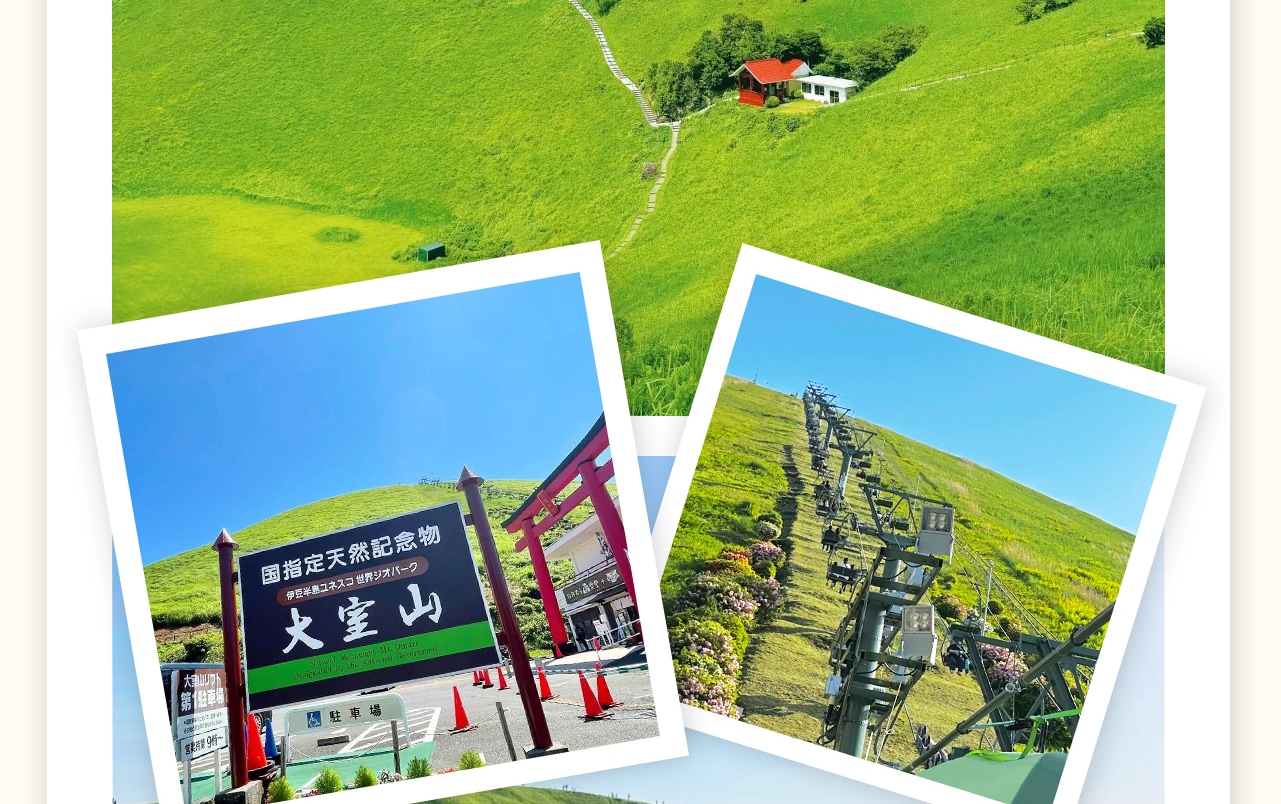 被譽為"伊豆的抹茶布丁"。乘坐纜車登頂，360°環形步道將美景盡收眼底。