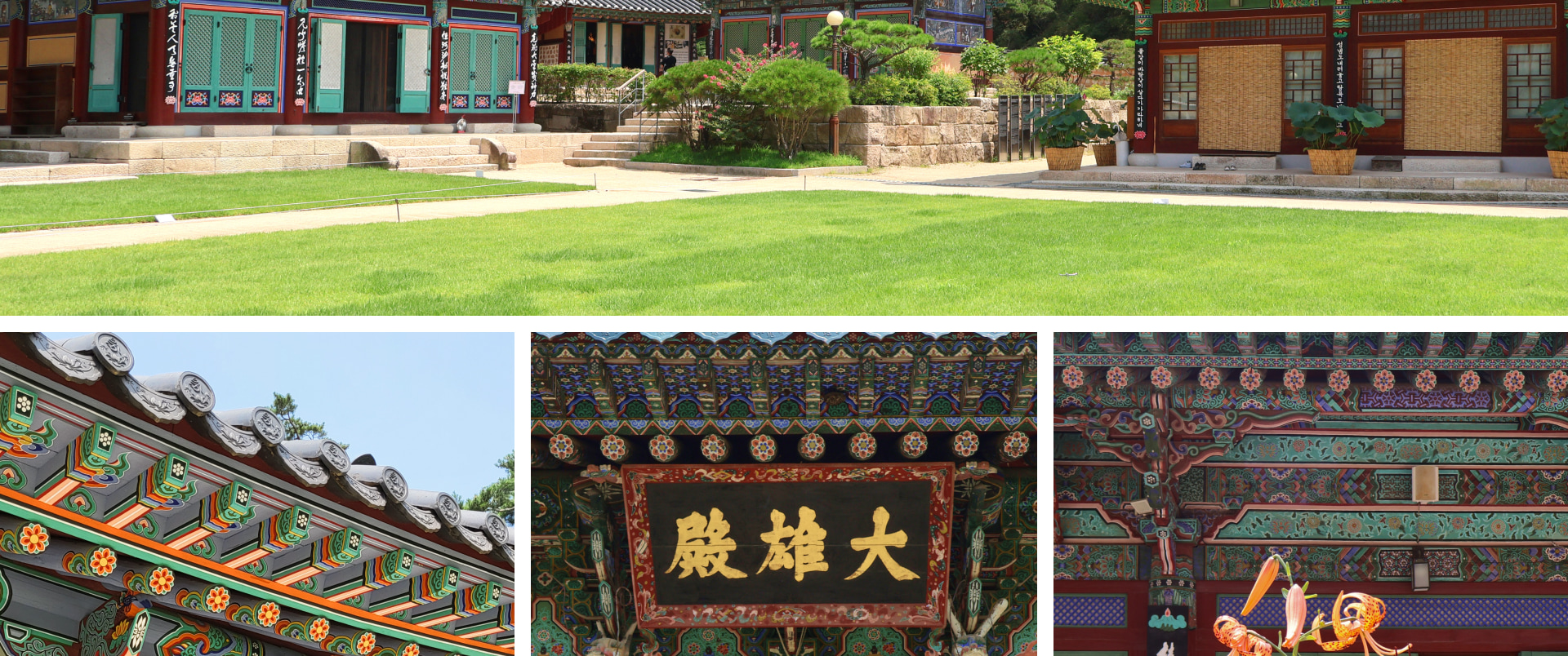 參觀首爾最古老的佛教寺廟之一——津寬寺，它靜靜地隱藏在森林中。