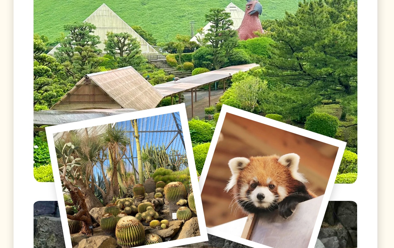 火山腳下的童話綠洲。日本最大規模的沙生植物樂園