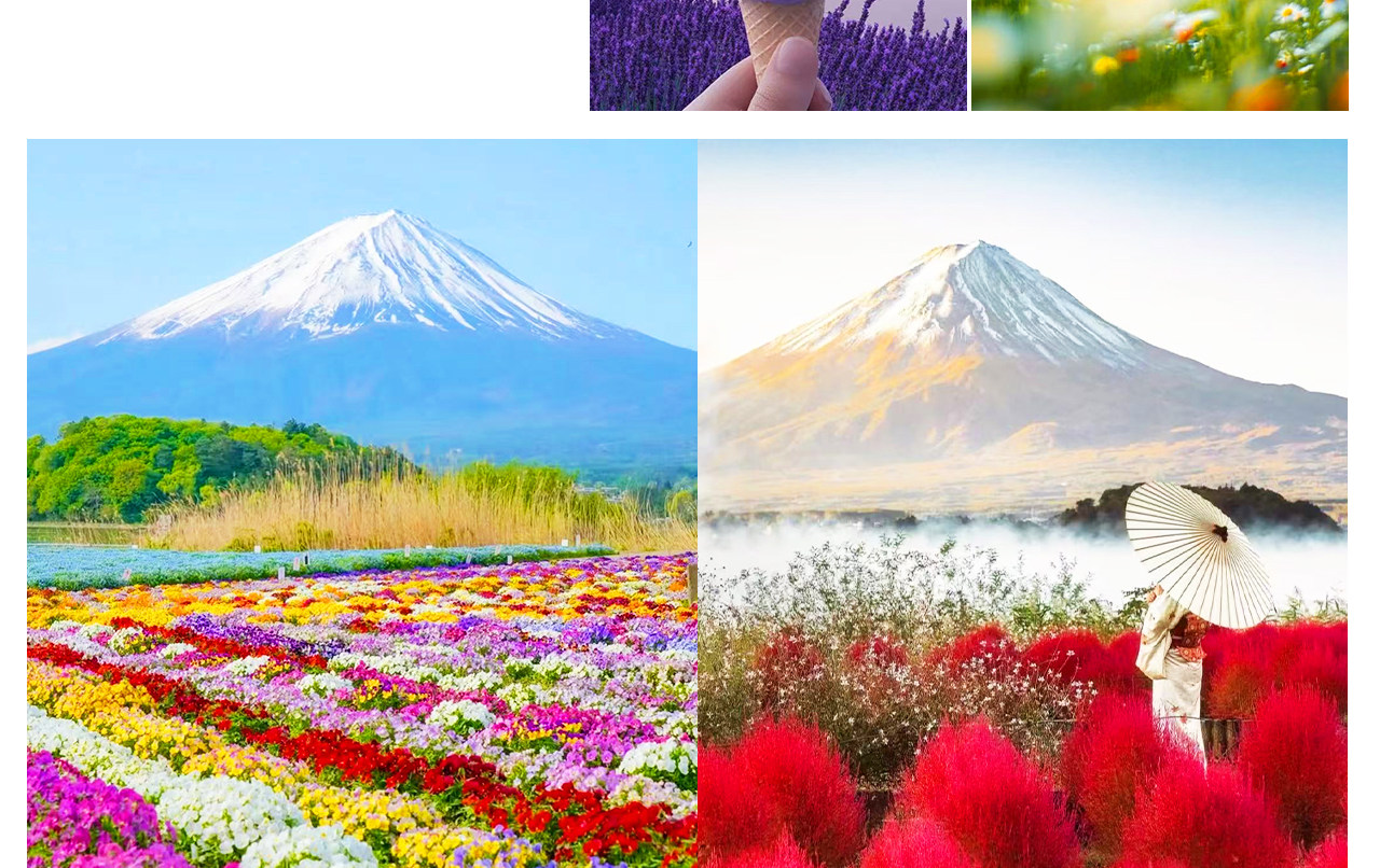 Two-Day Mount Fuji Cycling Tour | Panoramic Ropeway & Matcha Experience at Lake Kawaguchi + Oishi Park + Oshino Hakkai + Hirano Beach + Cycling/Boat Trip on Lake Yamanaka + Popular Tourist Spots | Includes 1-Night Hot Spring Hotel