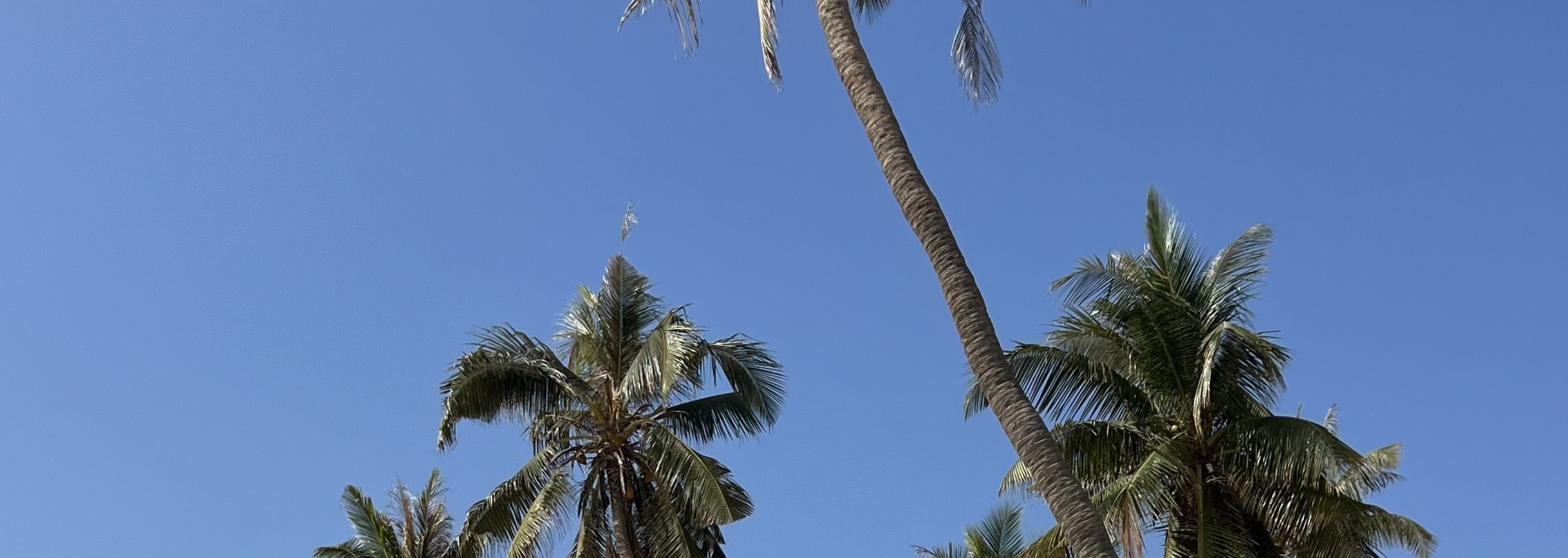 薩拉拉市區觀光之旅