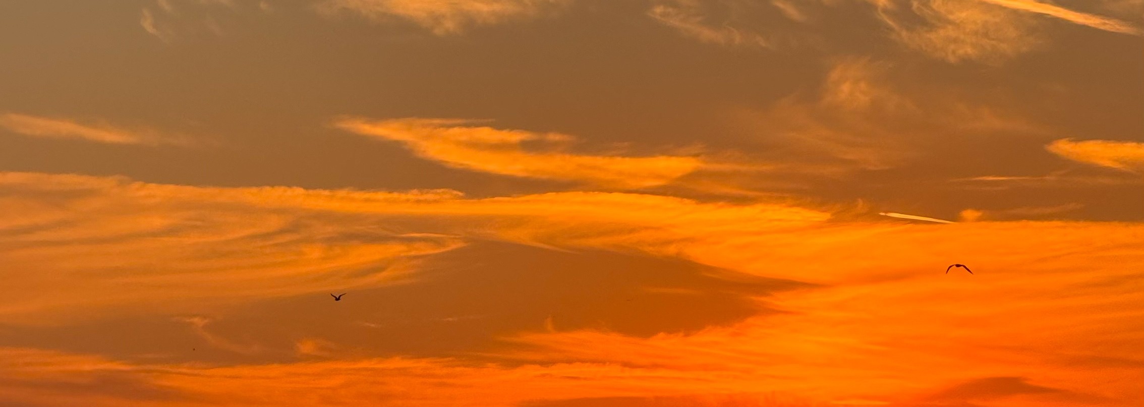Spectacular Istanbul Sunset Cruise: 3 Hours with Asian Side Explore