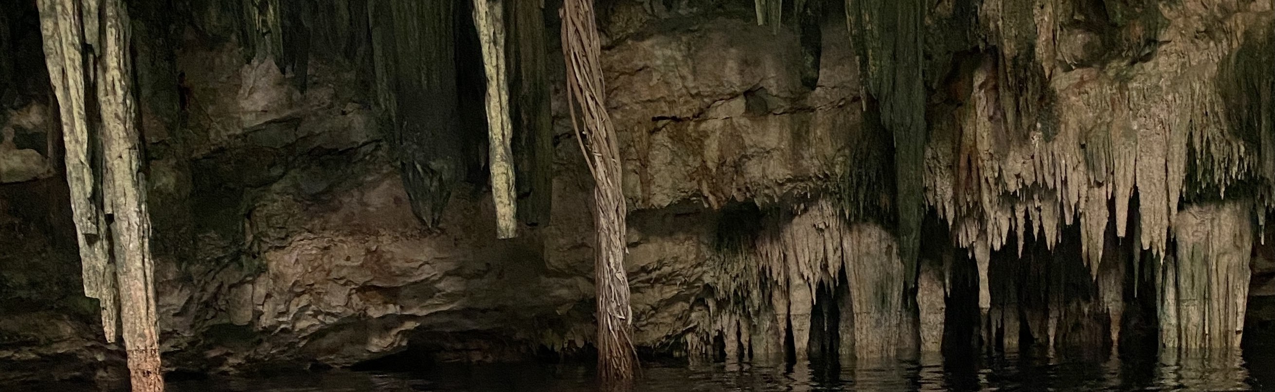 From Merida: 4 Cenotes and Acanceh zone with Lunch & Bikes