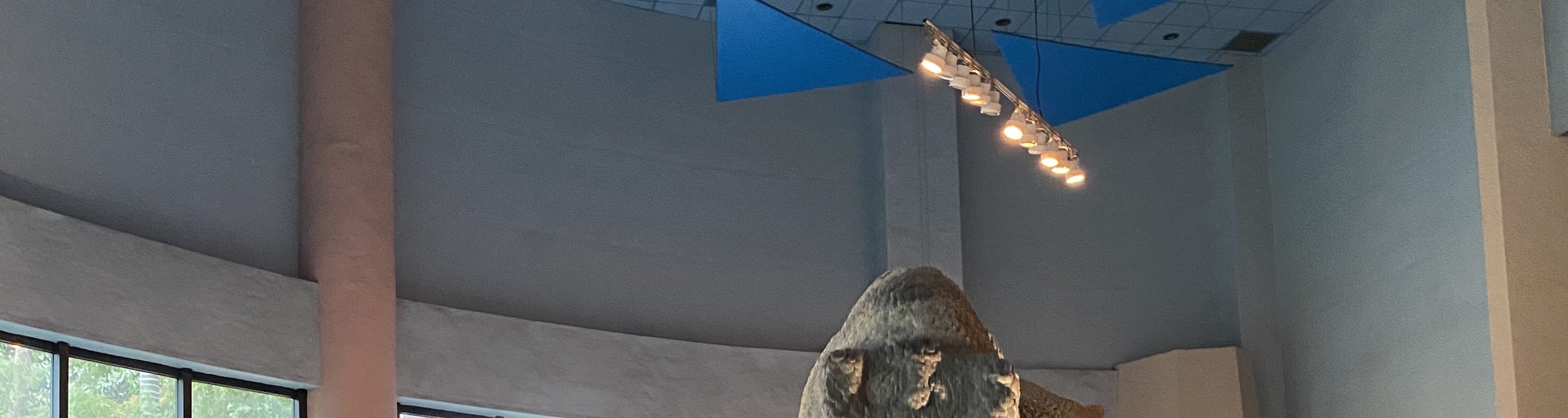 國立自然科學博物館：走訪台中代表性的知性景點，館內展示豐富多元的自然與科學知識，特別是逼真的恐龍模型展區，深受各年齡層旅客喜愛。