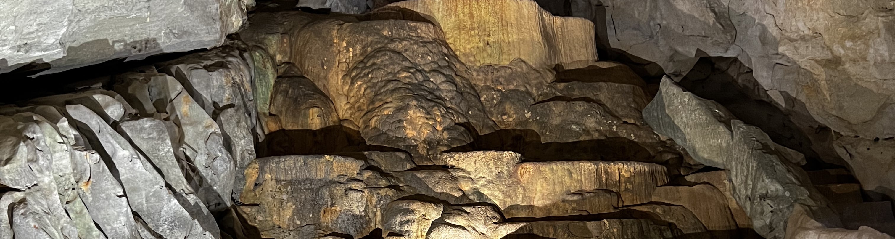 黑洞（Dark Cave）& 峰牙洞（Phong Nha Cave）一日遊