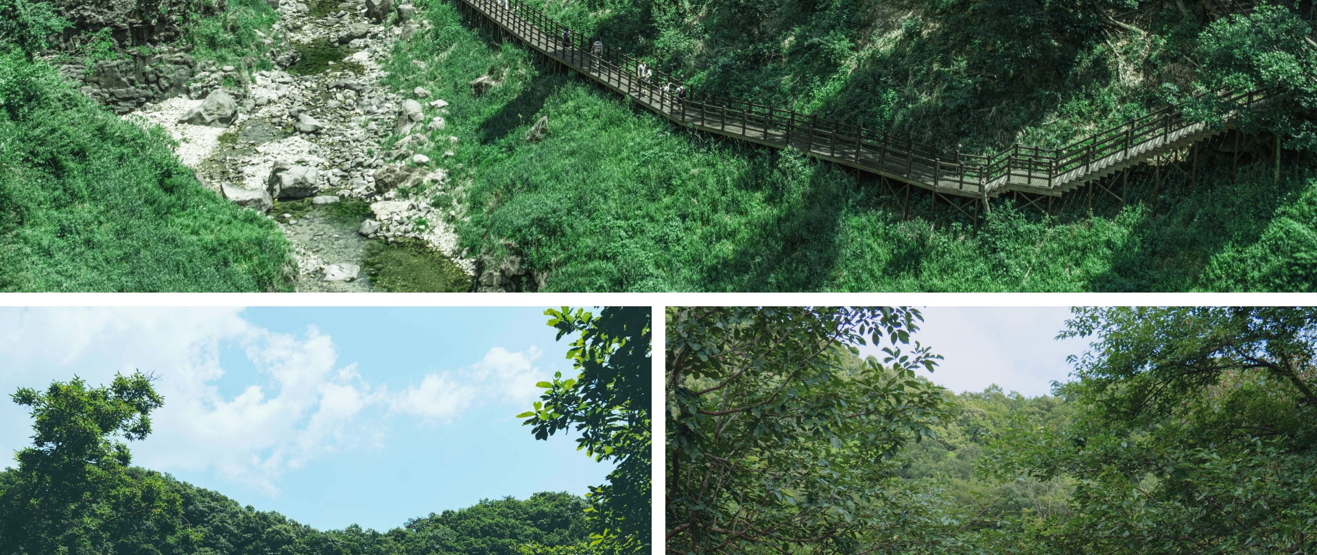 夏天時節,漢灘江地質公園 (Hantangang Geopark) 生機盎然,清澈的河流與壯麗的玄武岩懸崖相互輝映。這是一個寧靜而神奇的景點,讓您感受大自然甦醒的蓬勃朝氣。別忘了拿起相機,捕捉這美麗的瞬間!📸🌷 夏天時節,漢灘江地質公園 (Hantangang Geopark) 生機盎然,清澈的河流與壯麗的玄武岩懸崖相互輝映。這是一個寧靜而神奇的景點,讓您感受大自然甦醒的蓬勃朝氣。別忘了拿起相機,捕捉這美麗的瞬間!📸🌷