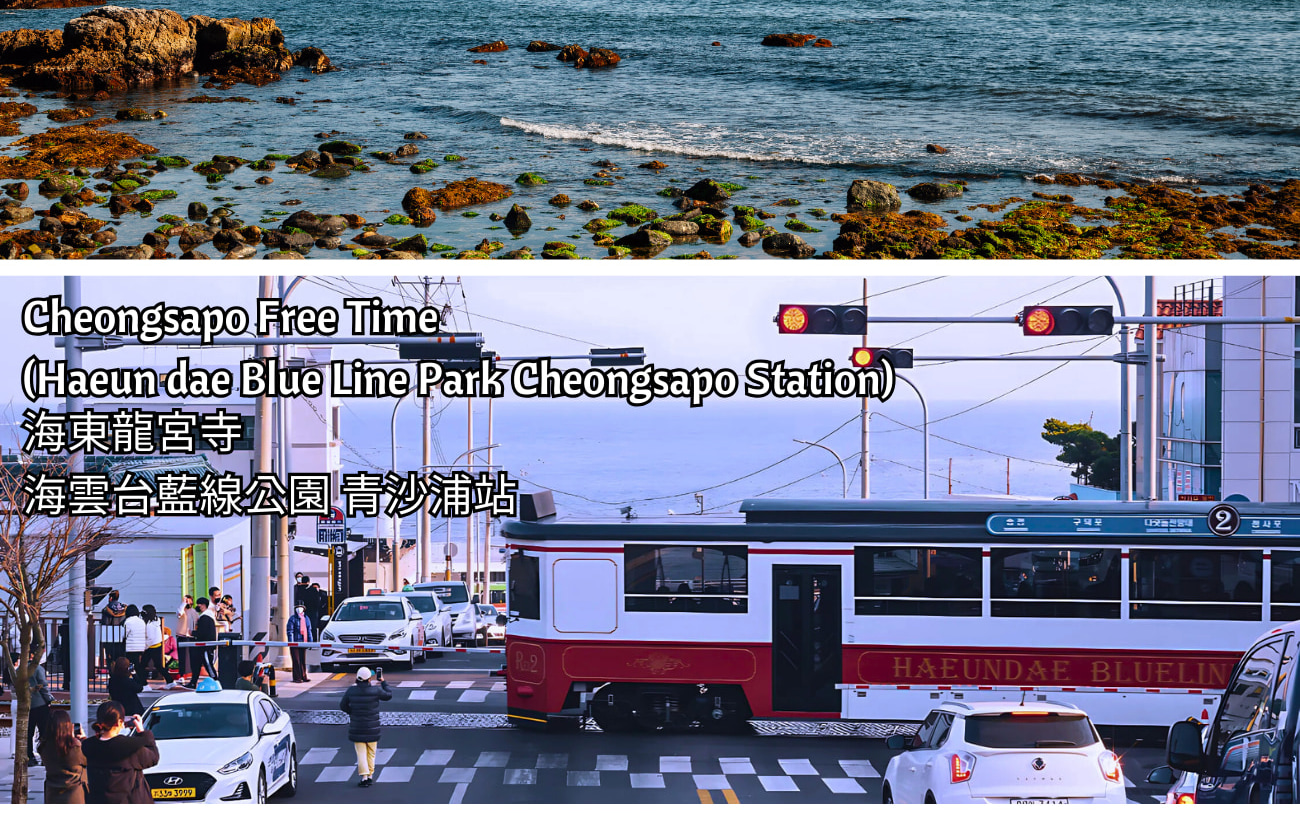 Busan & 海雲台藍線公園導覽一日遊