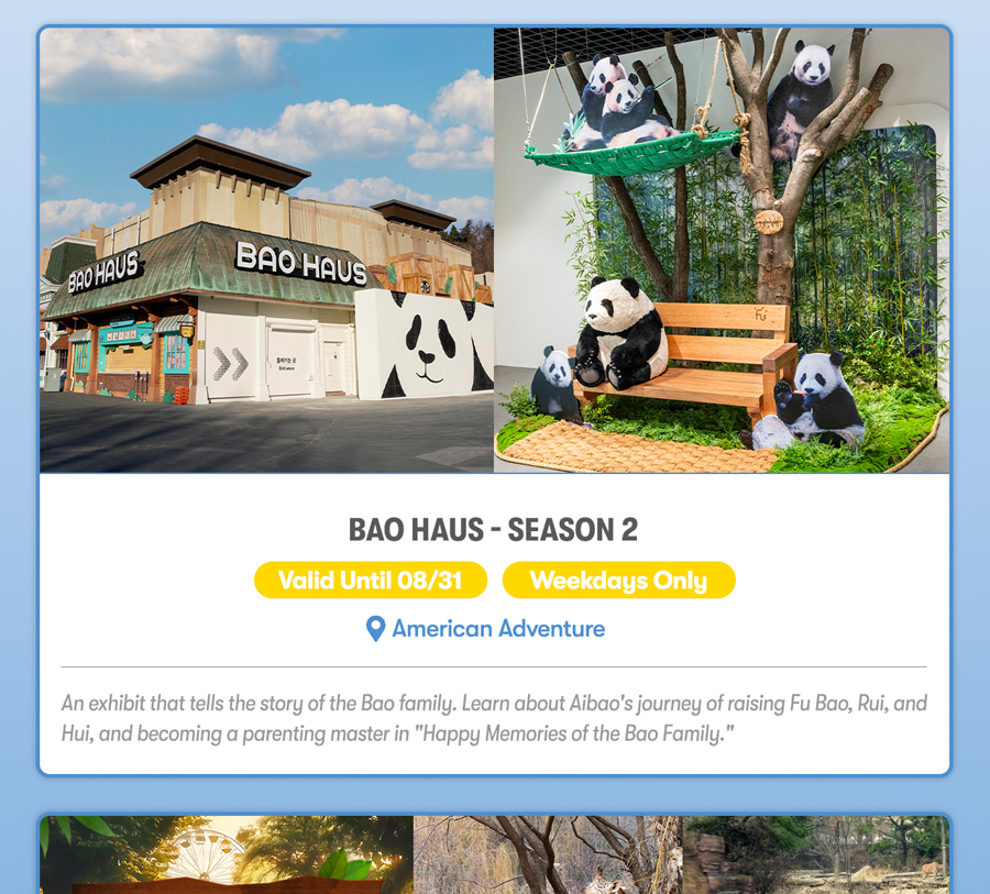 Everland Day Tour: Priority Entry (Till 31/5) + Optional Meal Coupon