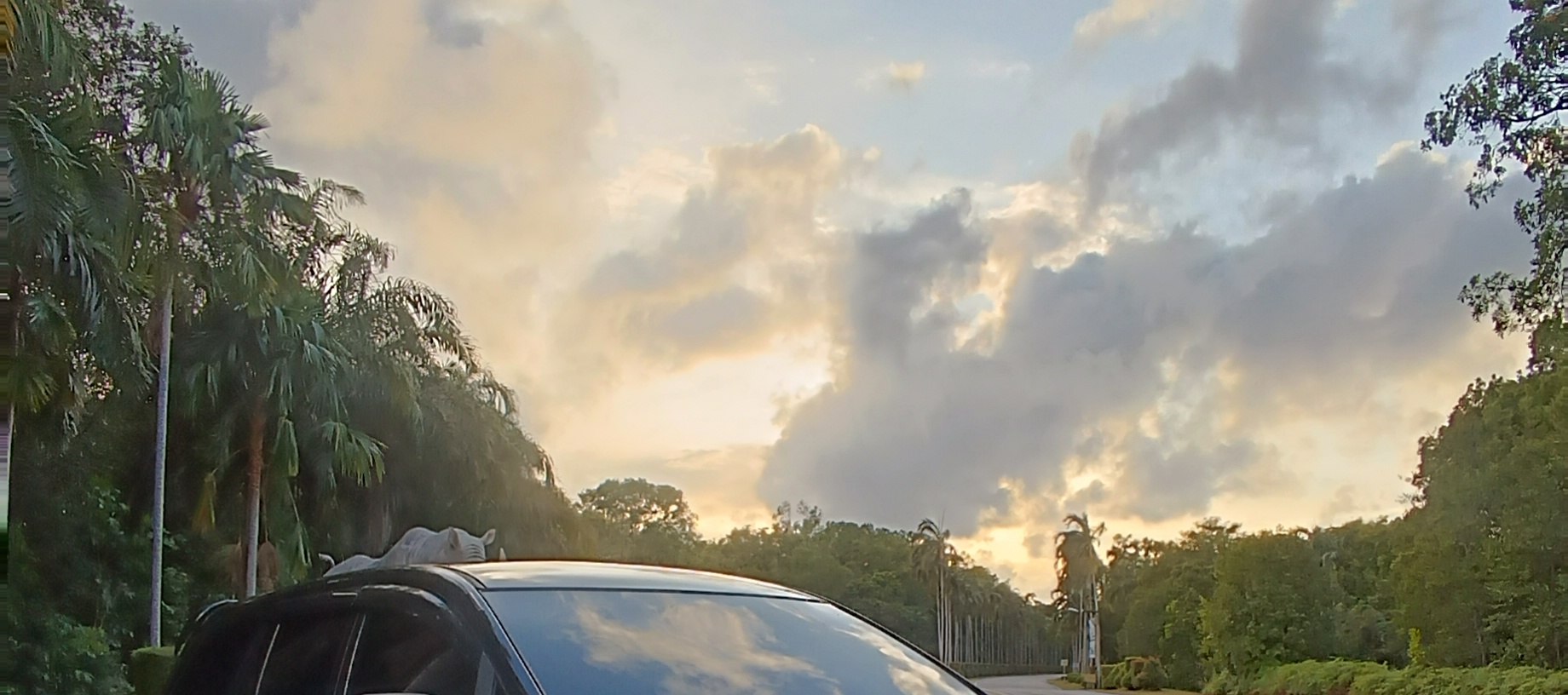 民丹島包車遊覽 