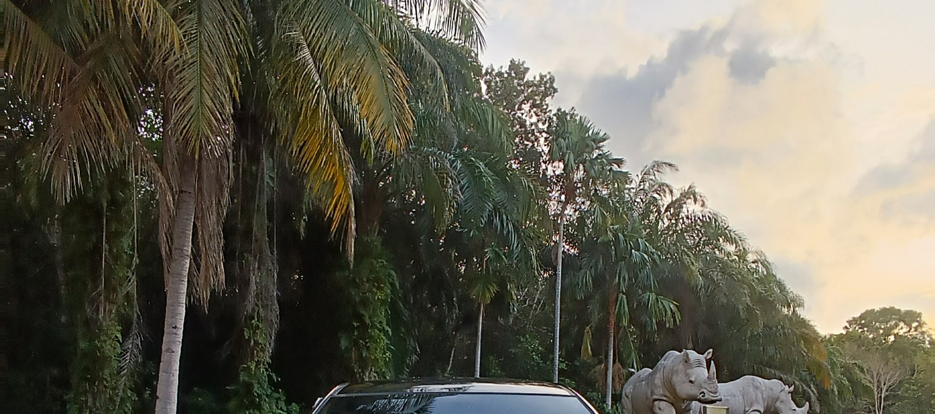 民丹島包車遊覽 