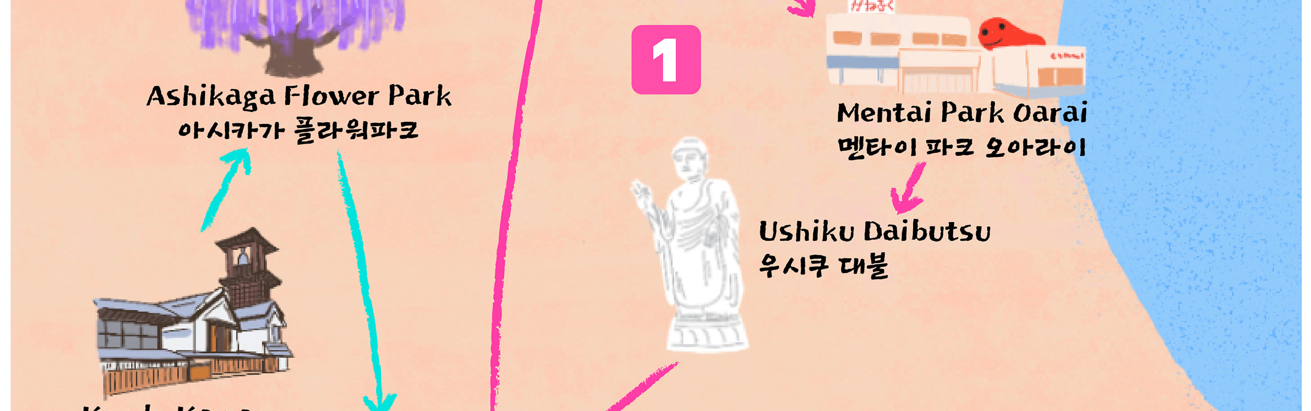 季節限定: 國營常陸海濱公園 & 足利花卉公園一日遊 (東京出發)