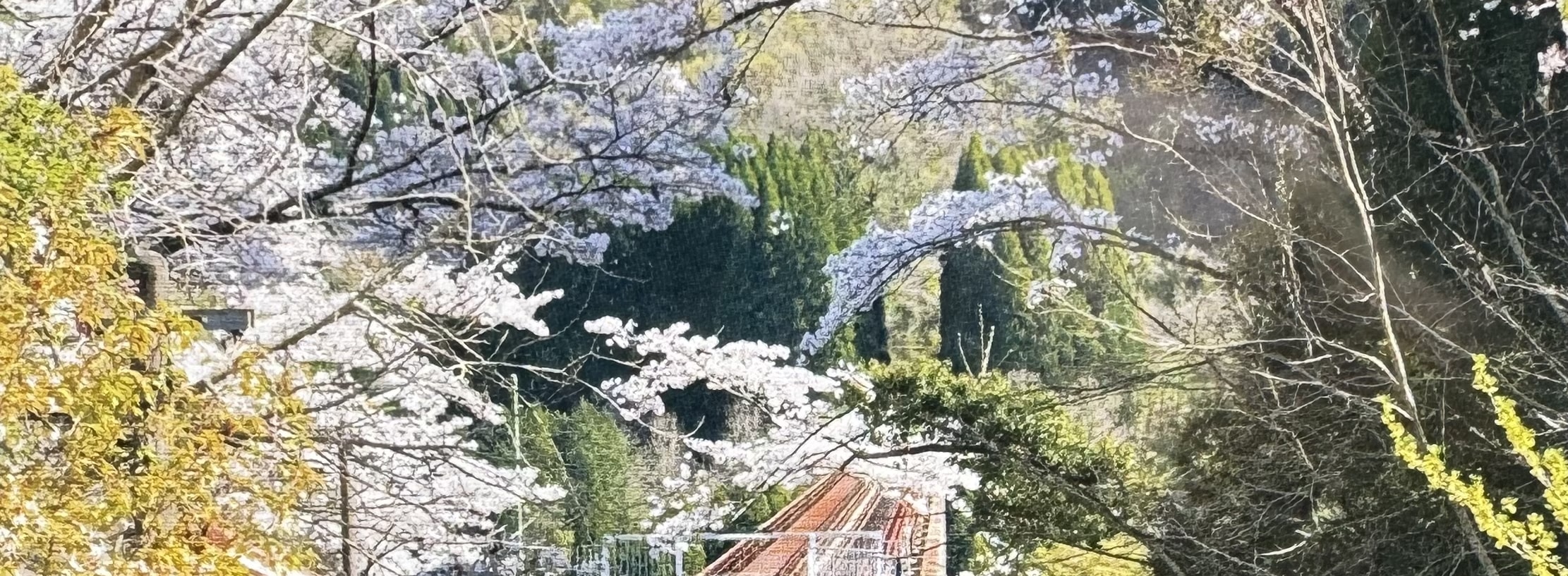 九州｜高千穗小火車&高千穗峽&熊本城一日遊｜中英文導遊（福岡出發）