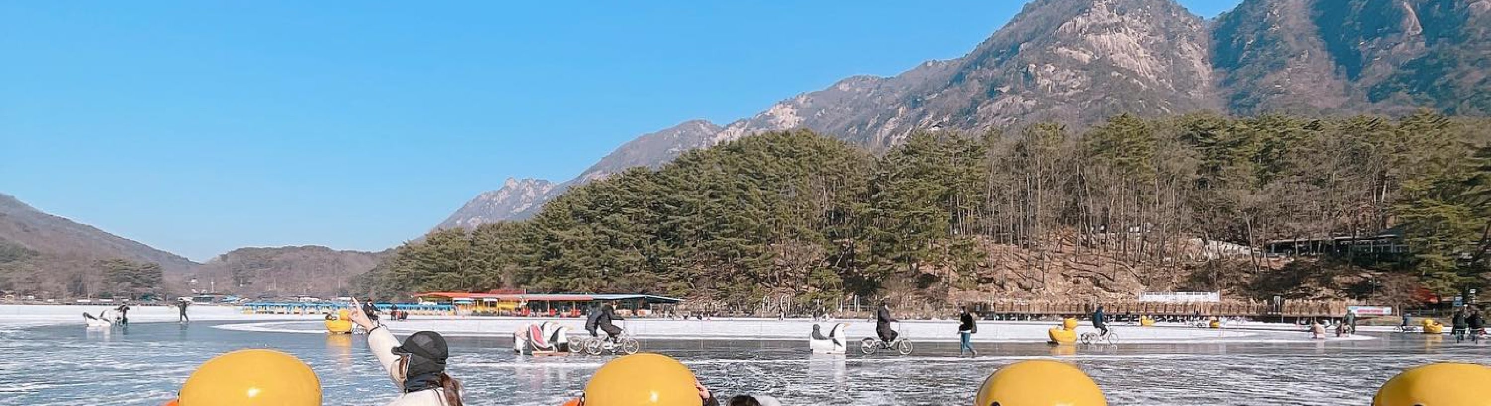 浦川 & 季節性熱門景點一日遊