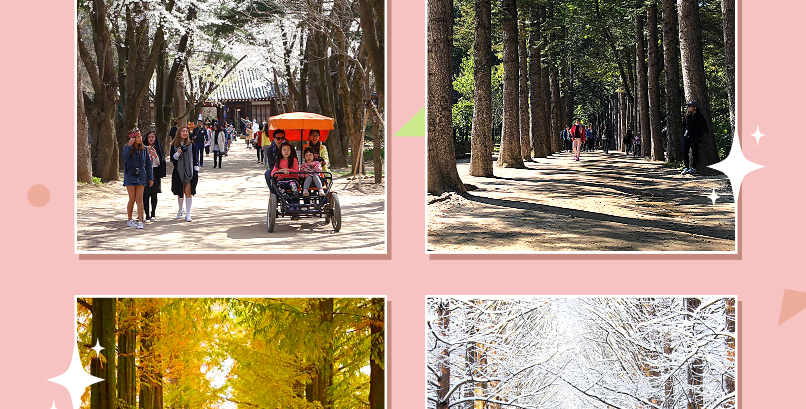 雪嶽山／纜車／草泥馬樂園／鐵道自行車／晨靜樹木園之旅