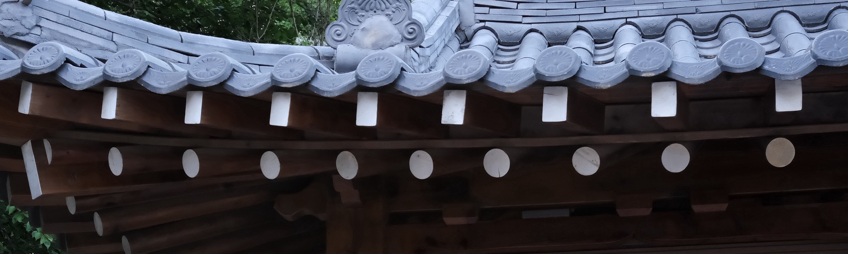 龍頭山公園 龍頭山公園