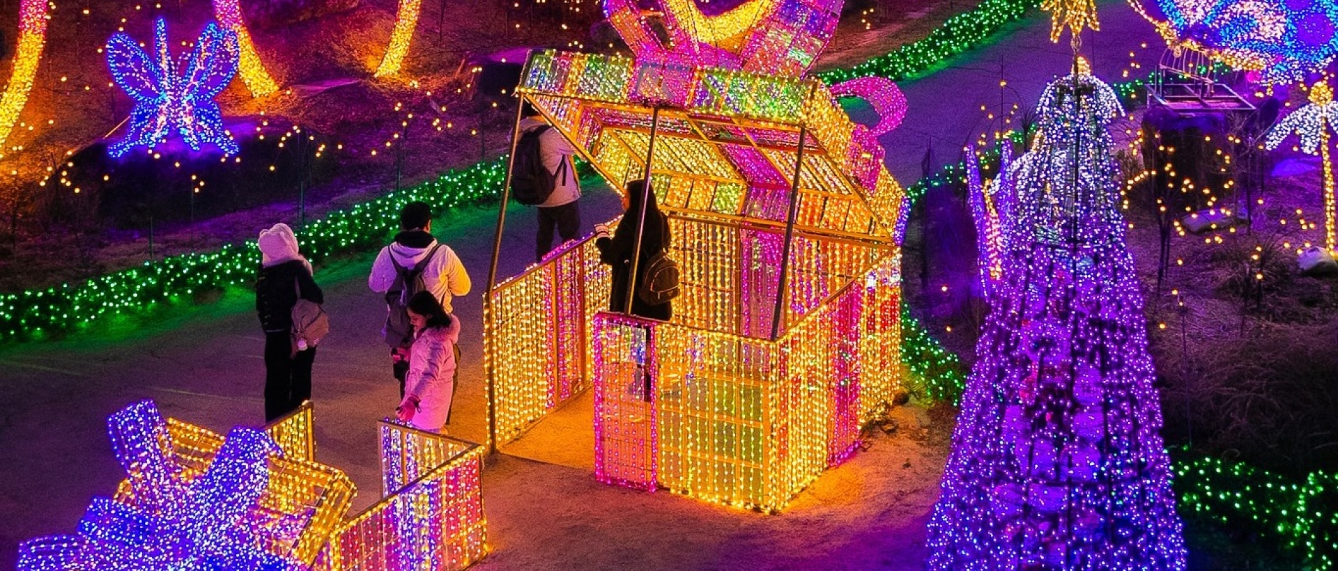 冬季的晨靜園藝樹木園🎇 日落時分，閃爍的燈光照亮整個場景，營造出如童話般的夢幻景觀，這是隻有在冬季才能體驗到的。