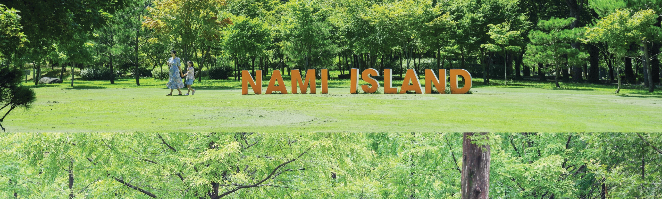南怡島 (Nami Island) & 伊甸園冰雪世界 (Eobi Ice Valley) & 全景場 (Panorama Field) &  晨靜樹木園 (Morning Calm) 旅遊