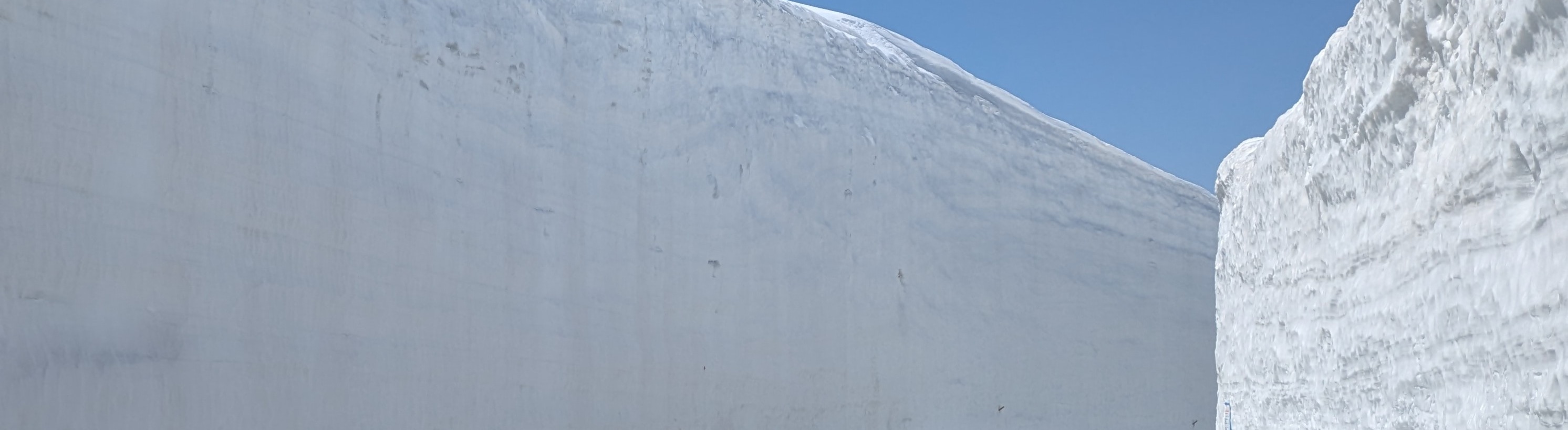 1 Day Tour from Kanazawa & Toyama: Snow Wall and Mysterious Valley