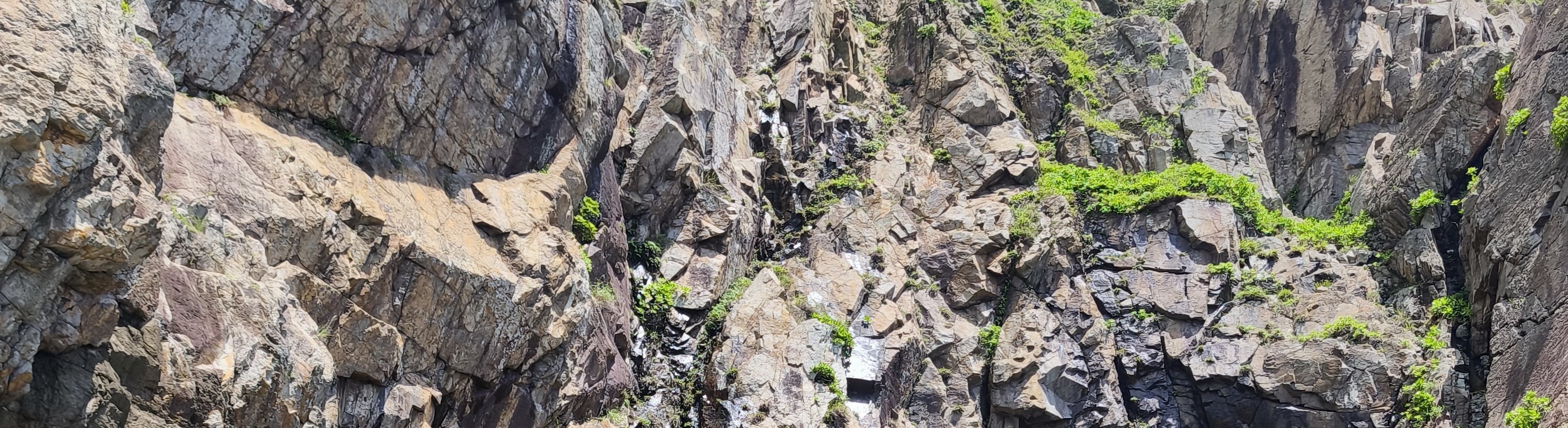 香港東龍島獨木舟探索特色洞穴生態團