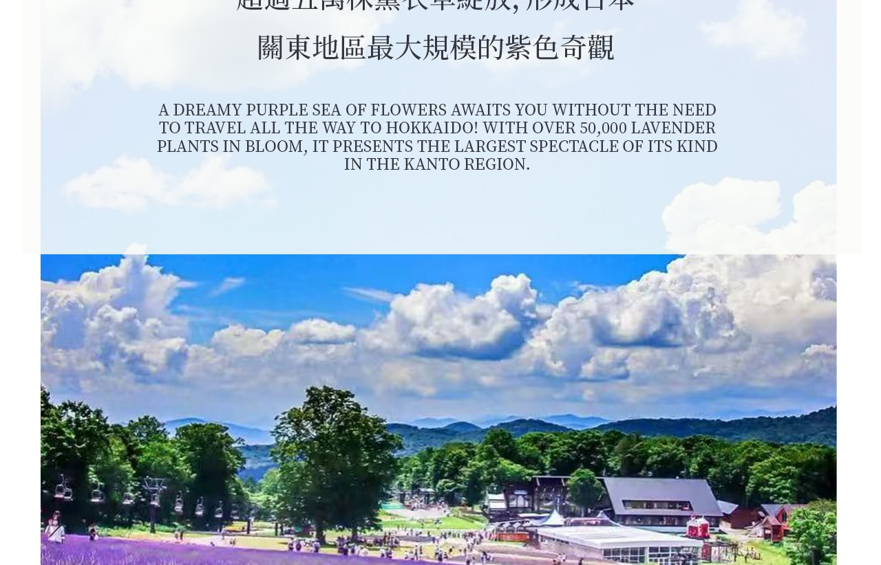 不用飛北海道,也能一次收集成片紫色花海!
超過五萬株薰衣草齊放,鋪滿整個山坡,一走進就被淡淡清香包圍,夢幻到宛如來到童話世界。 不用飛北海道,也能一次收集成片紫色花海!
超過五萬株薰衣草齊放,鋪滿整個山坡,一走進就被淡淡清香包圍,夢幻到宛如來到童話世界。